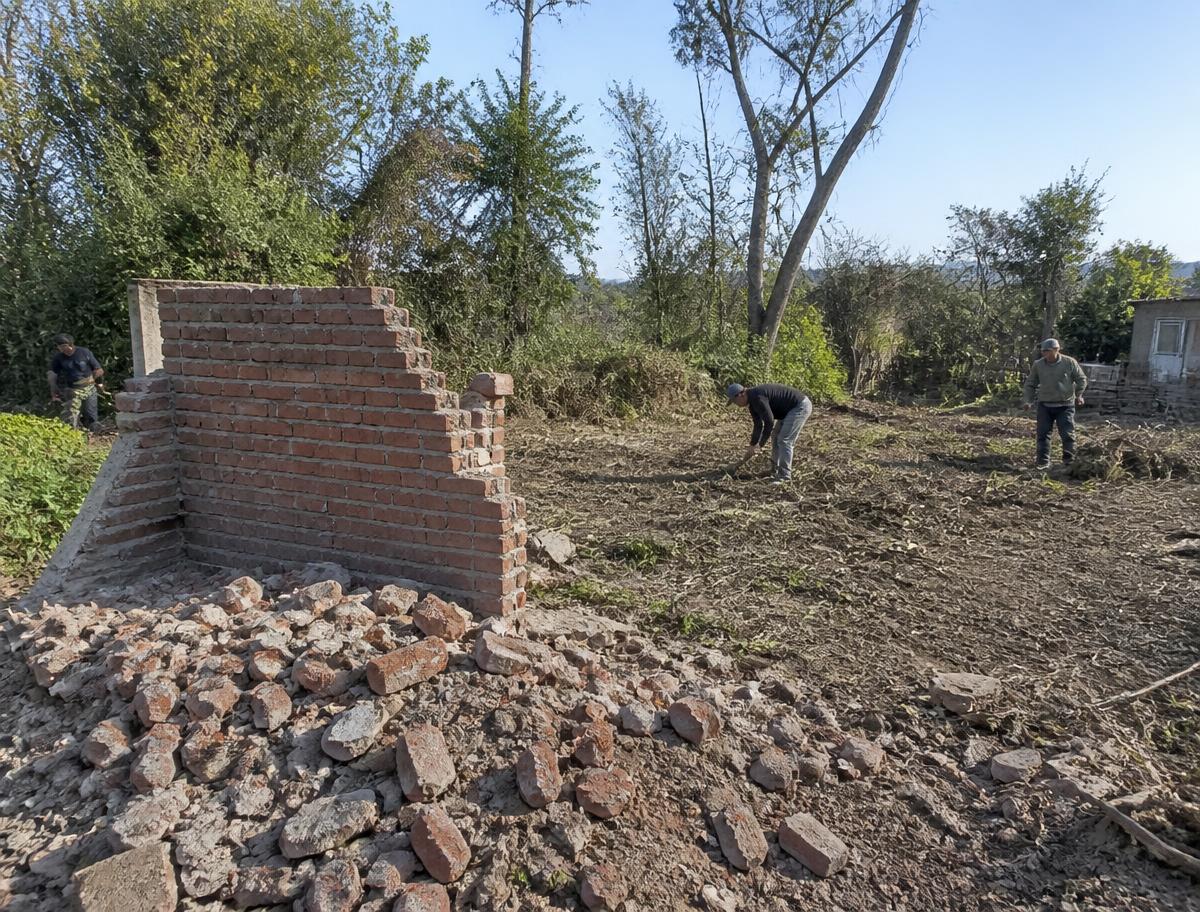 Demolición y jardín